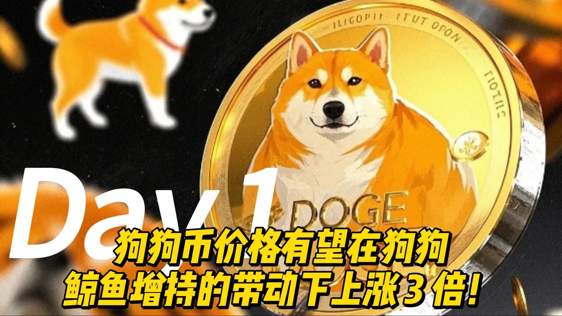 狗狗币空投即将开始，参与用户将获ADA枚代币-开云APP